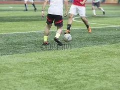 金贝娱乐,资讯,金贝娱乐官网,金贝娱乐,金贝娱乐官网,金贝娱乐JINBEI官网