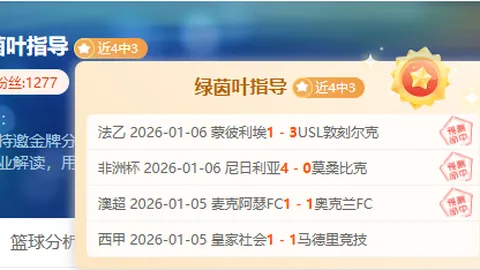 金贝娱乐 资讯 095300 lmt