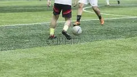 金贝娱乐 资讯 095736 cyo