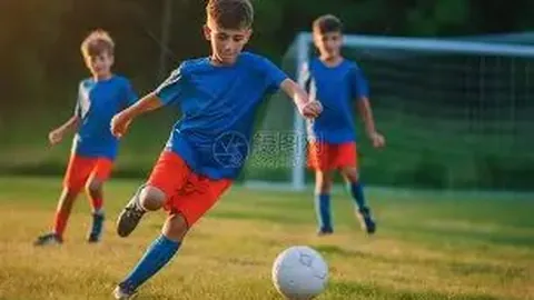 阿爾瓦雷斯轉會費達8000萬歐元含獎金，獲得肖像權全權使用